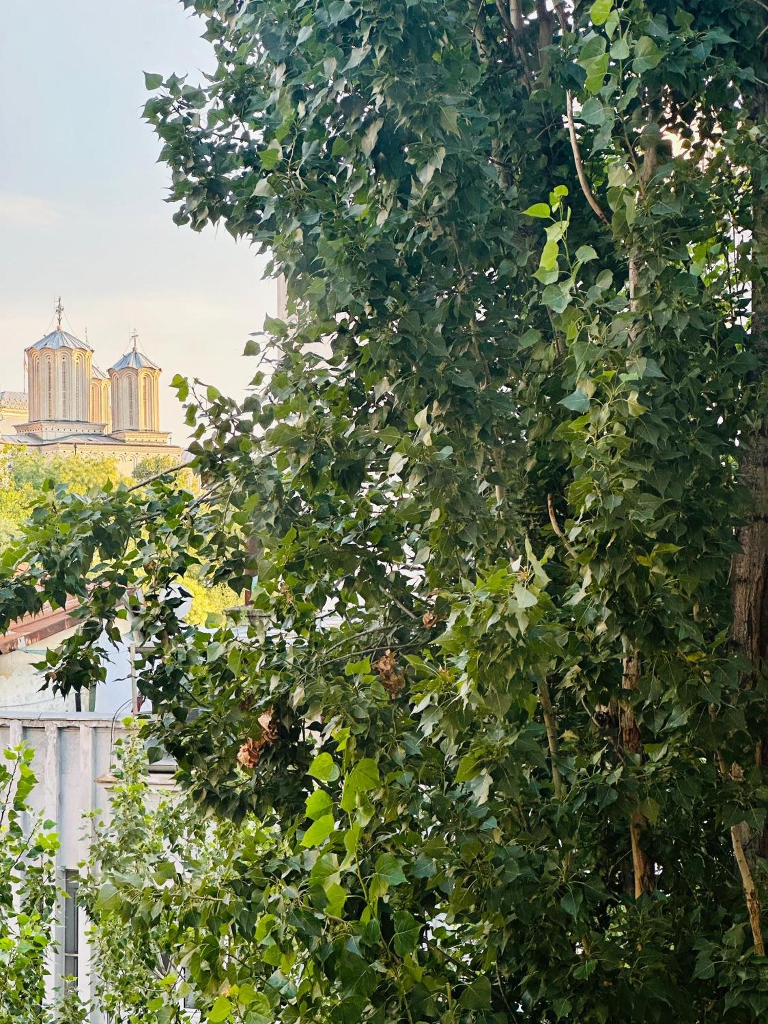Tranquil Unirii Residence - Elegant & Spacious Living With Parking Steps From Parliament Βουκουρέστι Εξωτερικό φωτογραφία