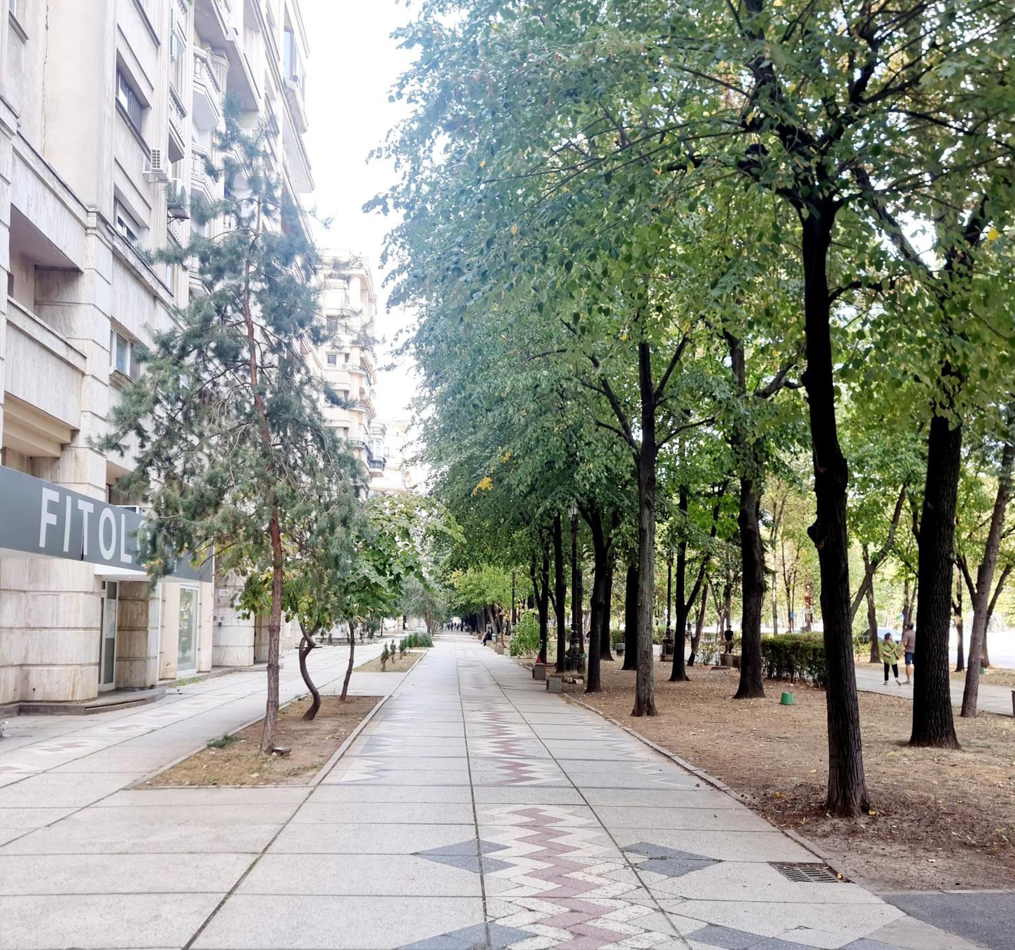 Tranquil Unirii Residence - Elegant & Spacious Living With Parking Steps From Parliament Βουκουρέστι Εξωτερικό φωτογραφία