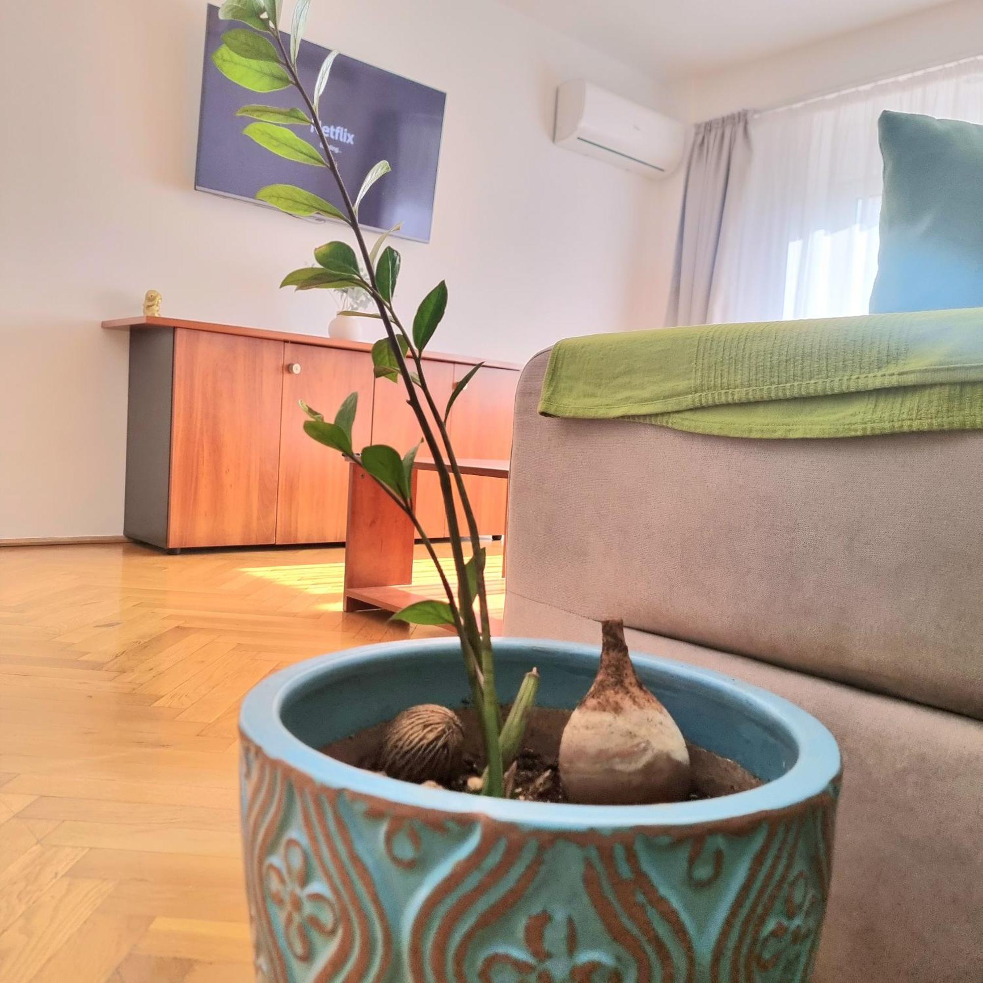 Tranquil Unirii Residence - Elegant & Spacious Living With Parking Steps From Parliament Βουκουρέστι Εξωτερικό φωτογραφία